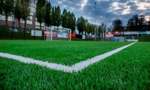 Anasayfa cim saha boyasi